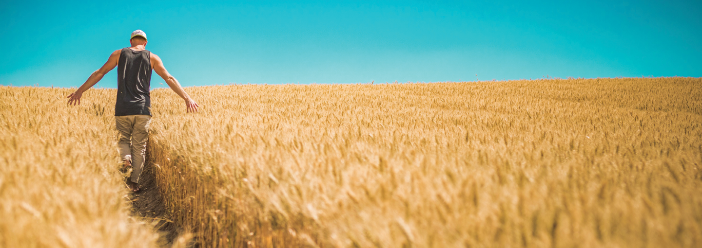 https://youtube.com/live/Z9YKj4uJw2U?feature=share&isdtp=p1 Image - person in wheat field