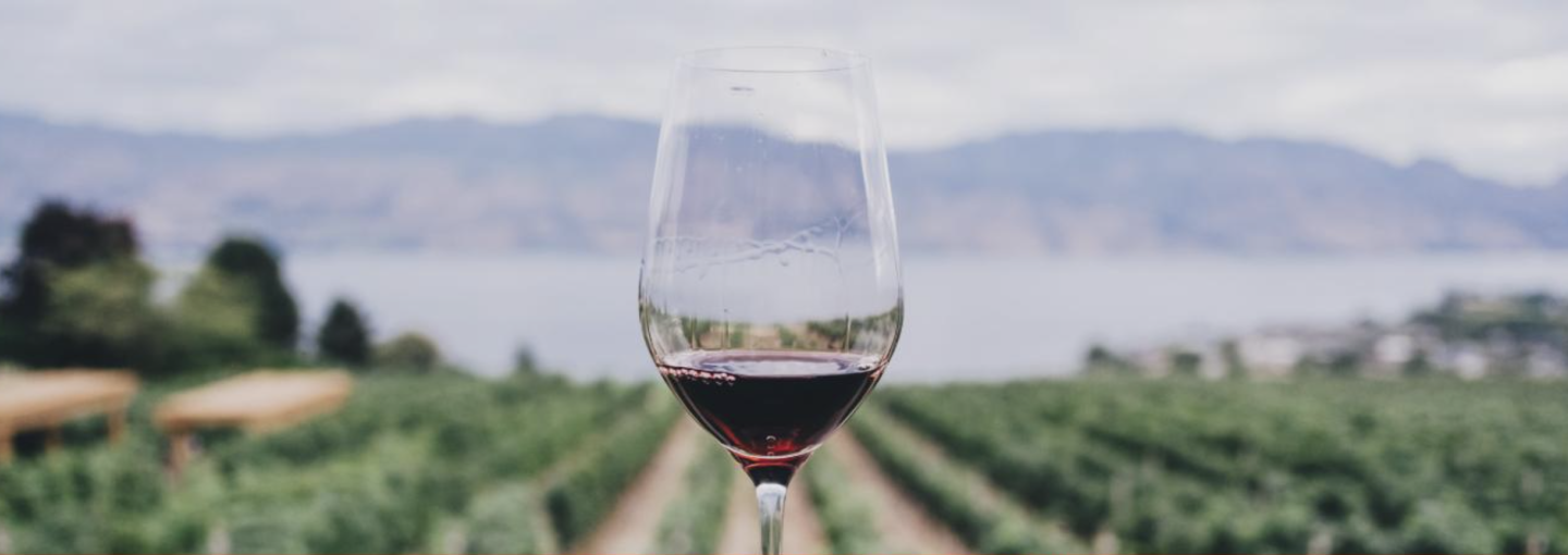 Image - vineyard and glass of wine