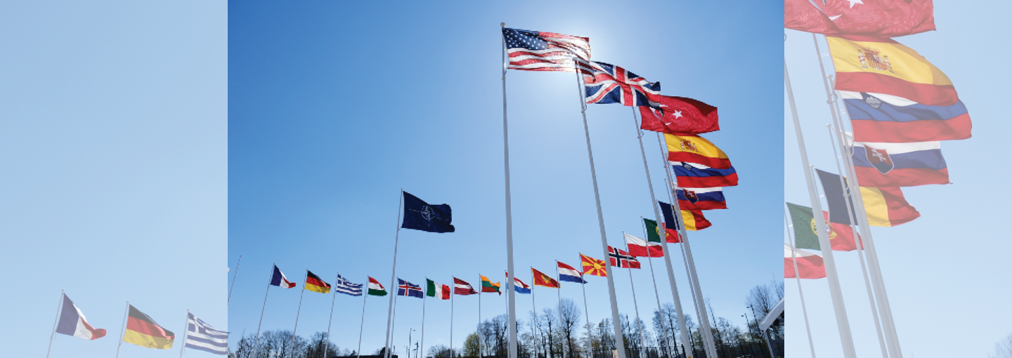 International Criminal Law and the Values of the New World Order Image - national flags