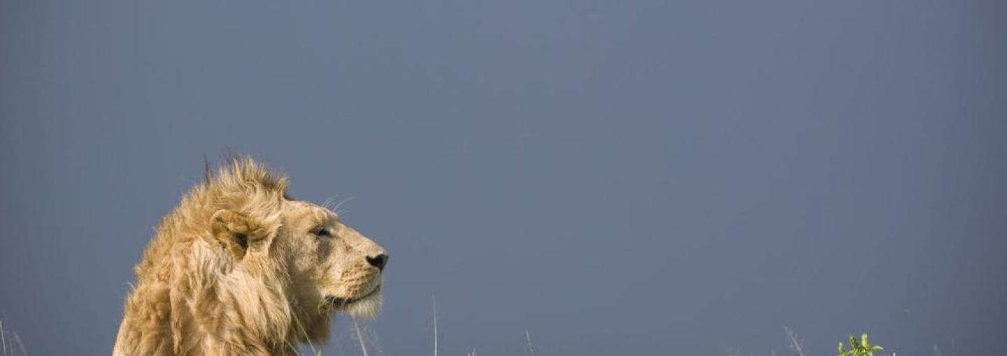 Photo by Andrew Biggs