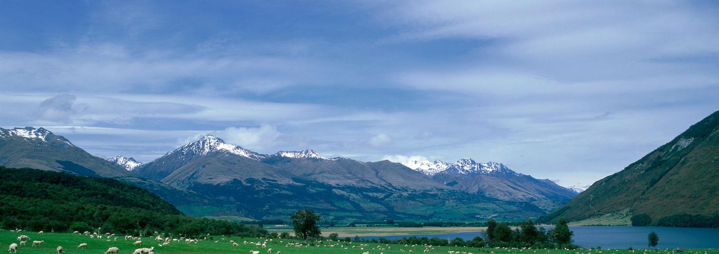 New Zealand