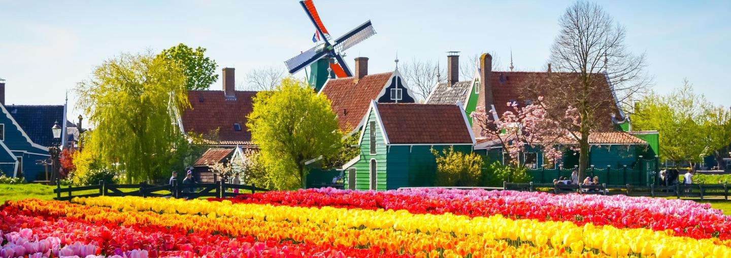 Windmills
