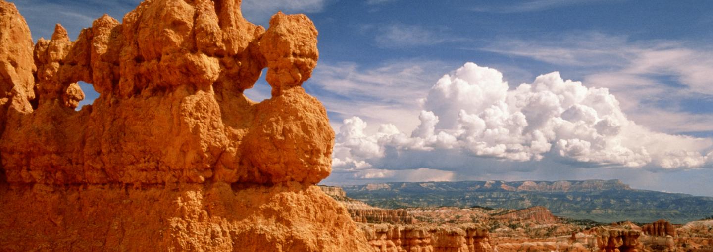 Bryce