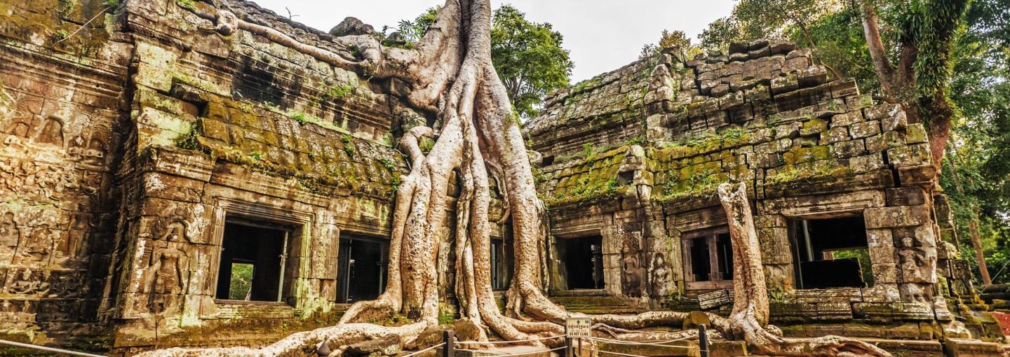 Ta Prohm