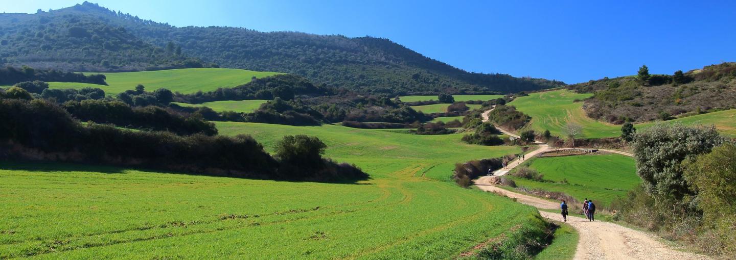 Camino