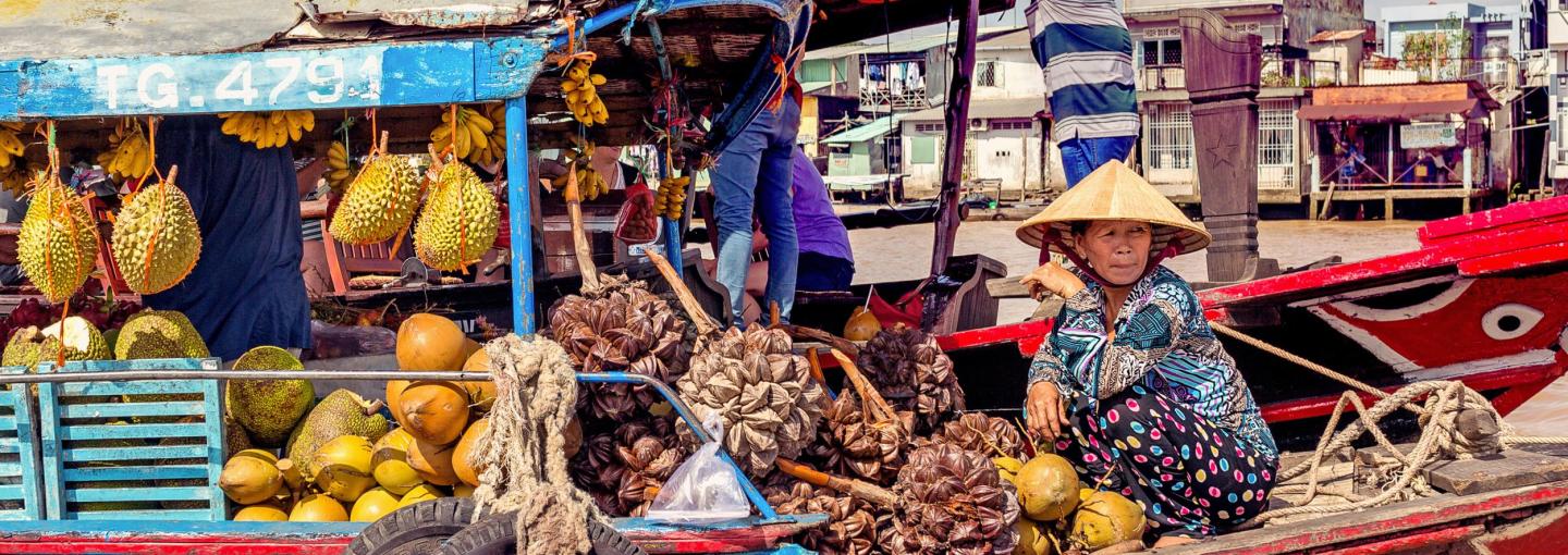 Mekong Delta