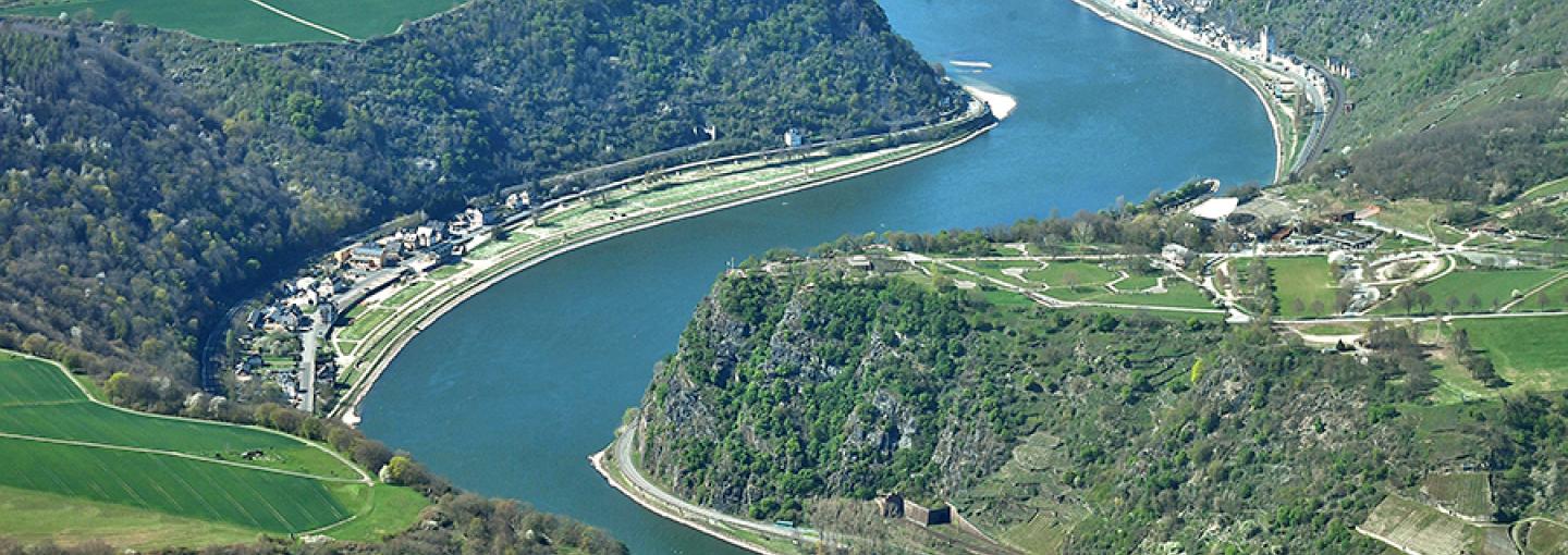 Rhine