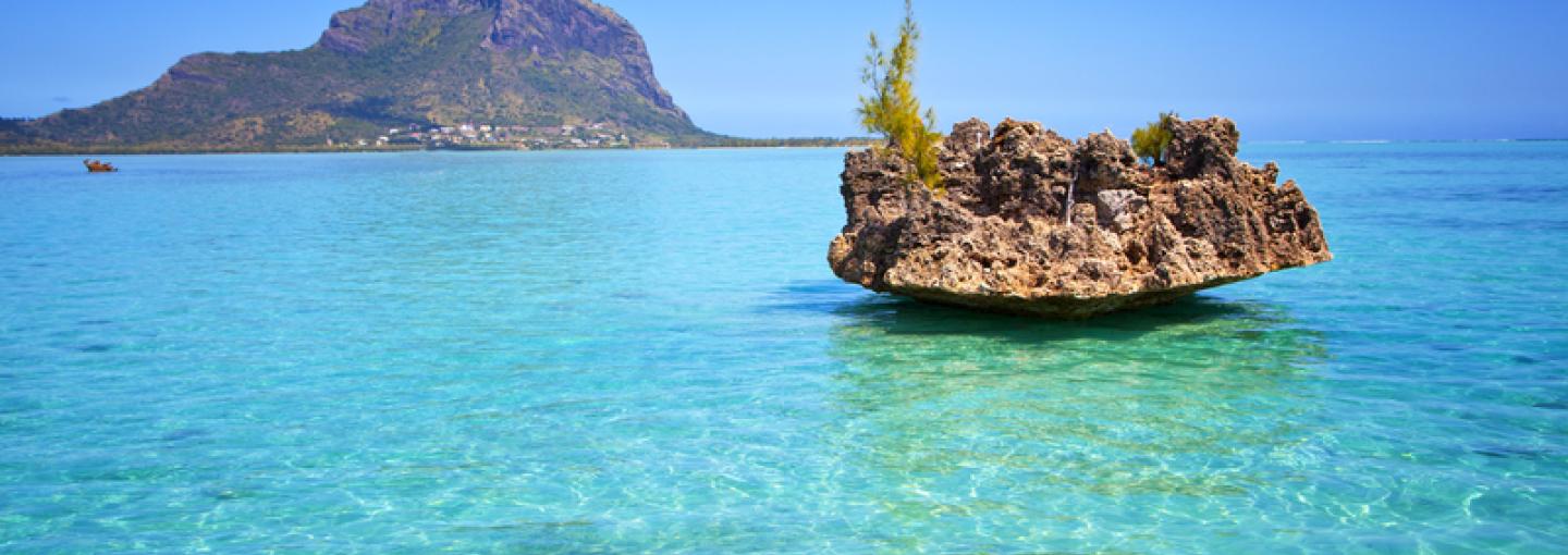 Mauritius Rock