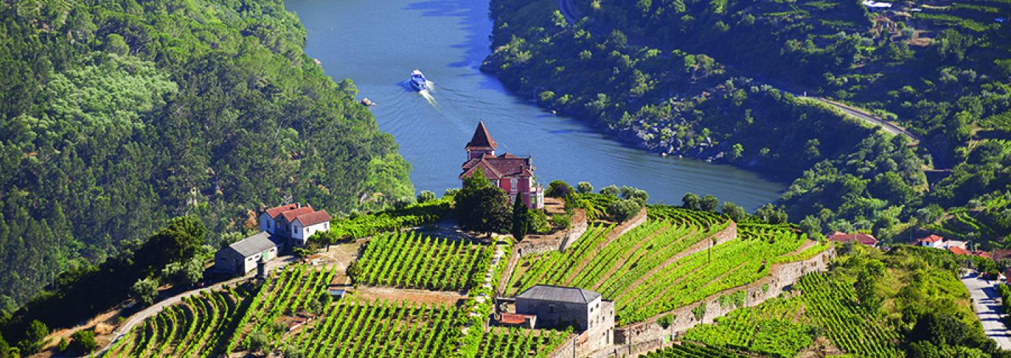 Douro Valley