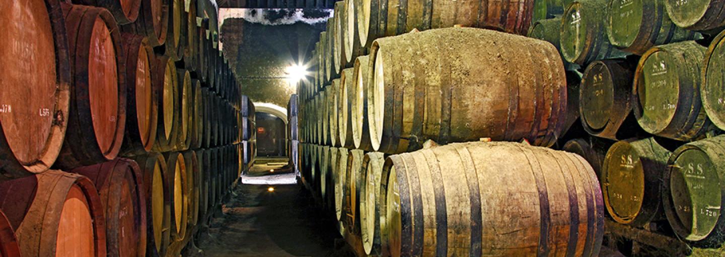 Port Wine Cellar