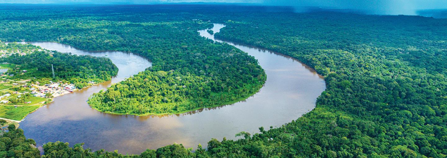Suriname River
