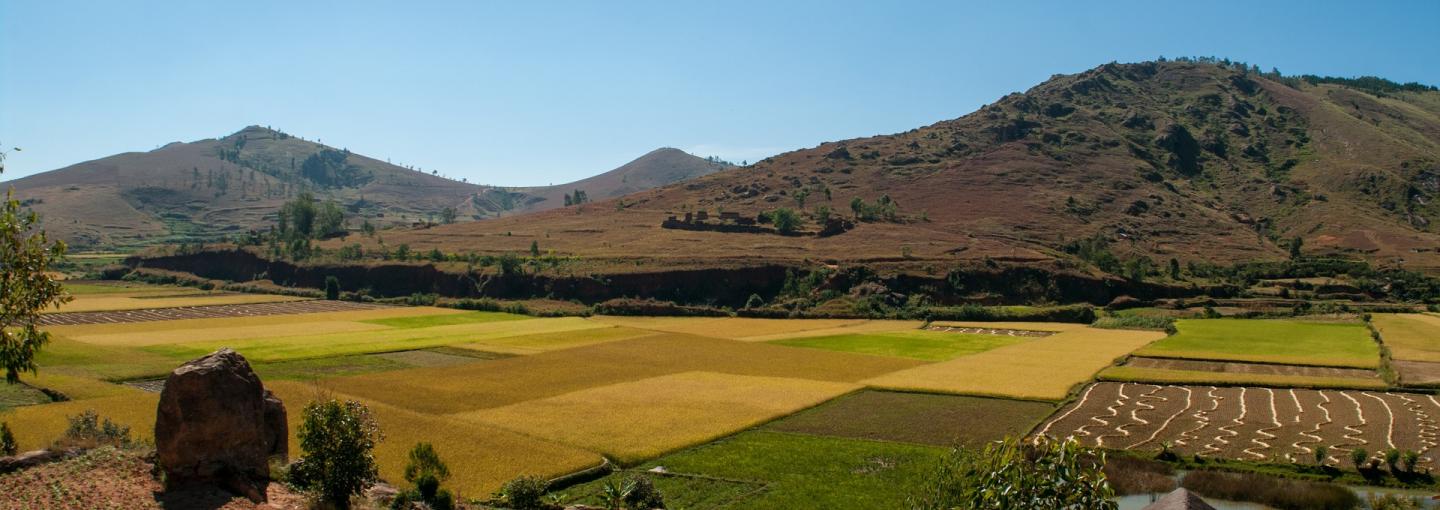 Countryside