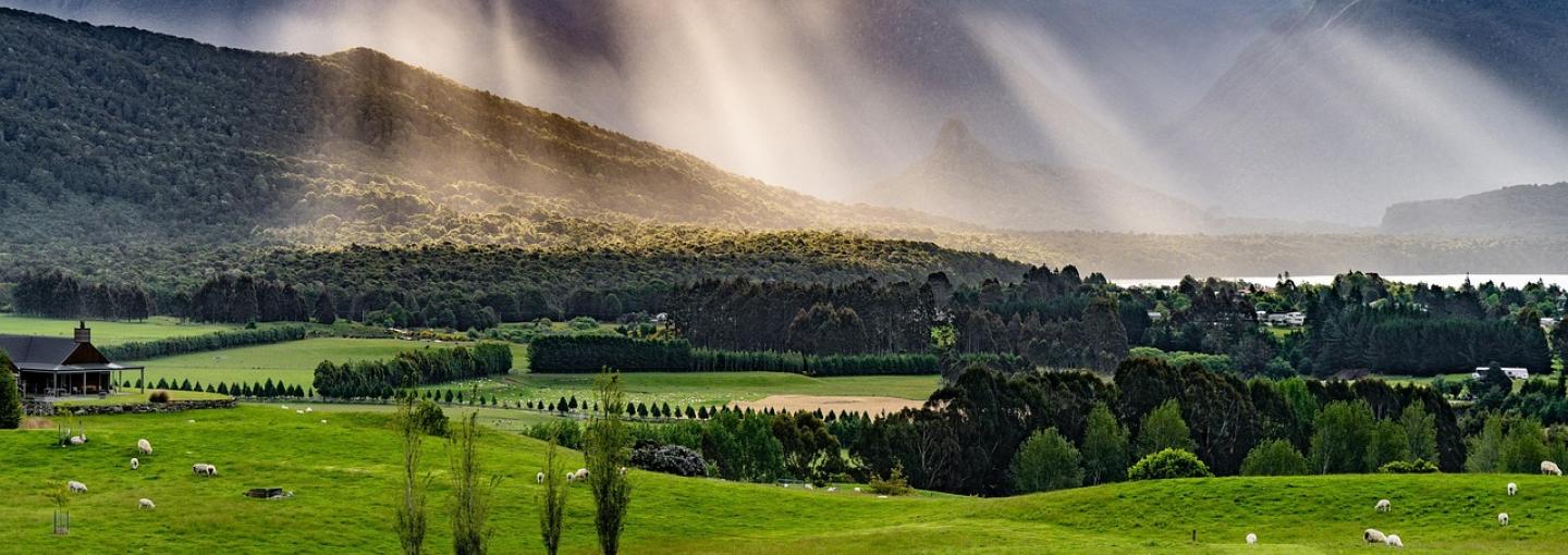New Zealand