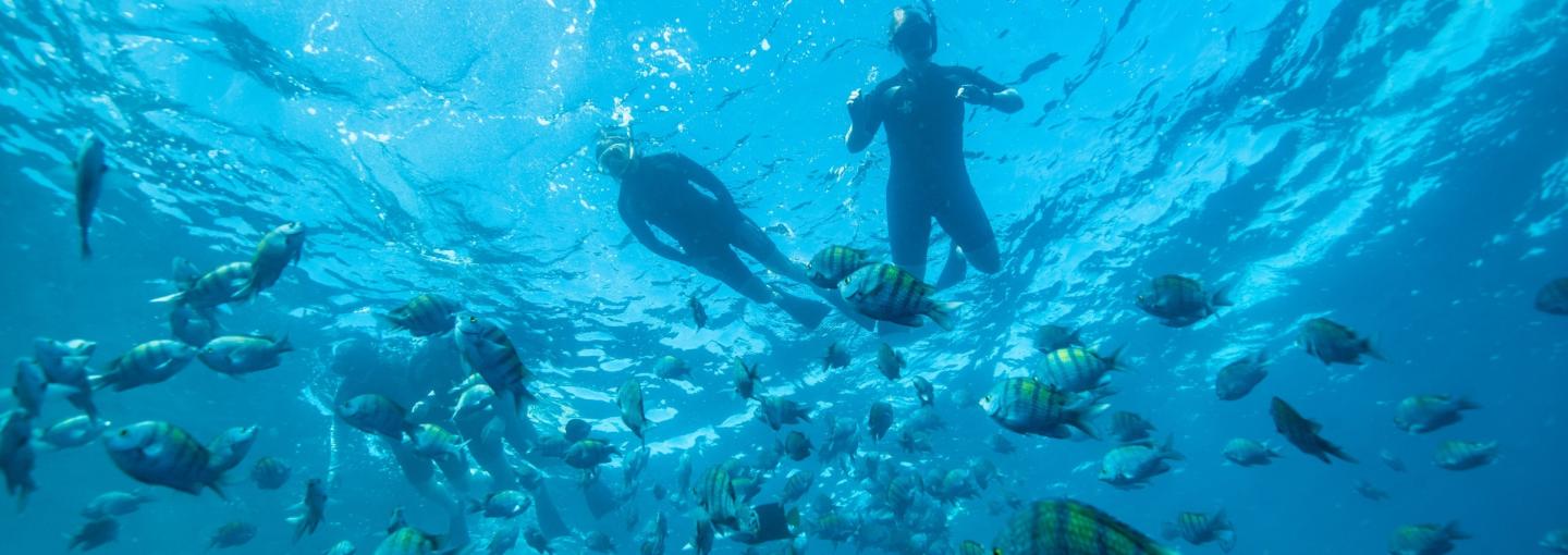 Snorkeling