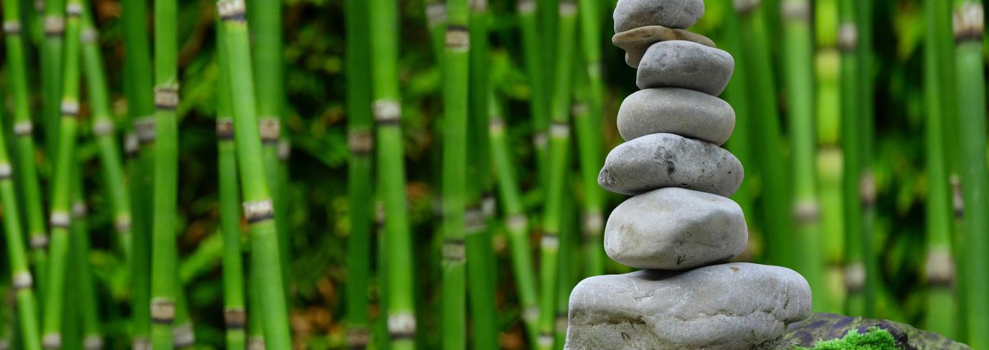 Bamboo Garden