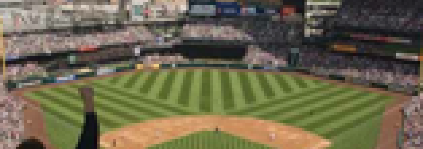 Image - Greening the World Through Sports