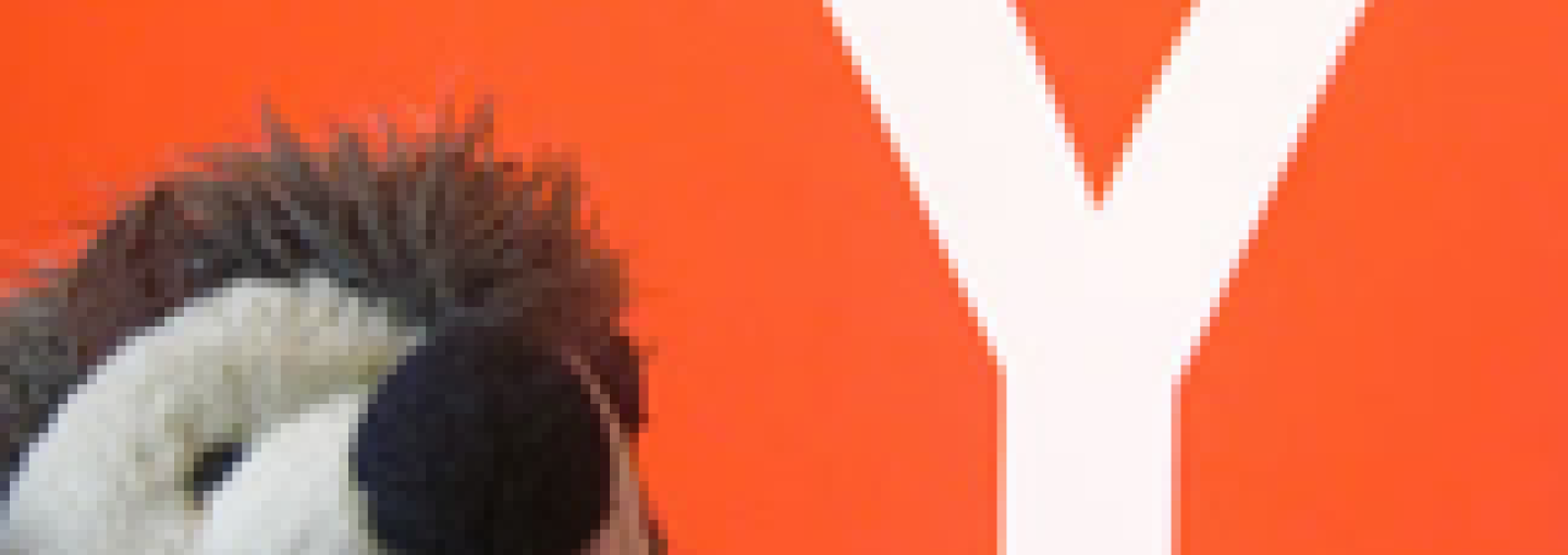 Image - Y Combinator Grads: Founders’ Stories