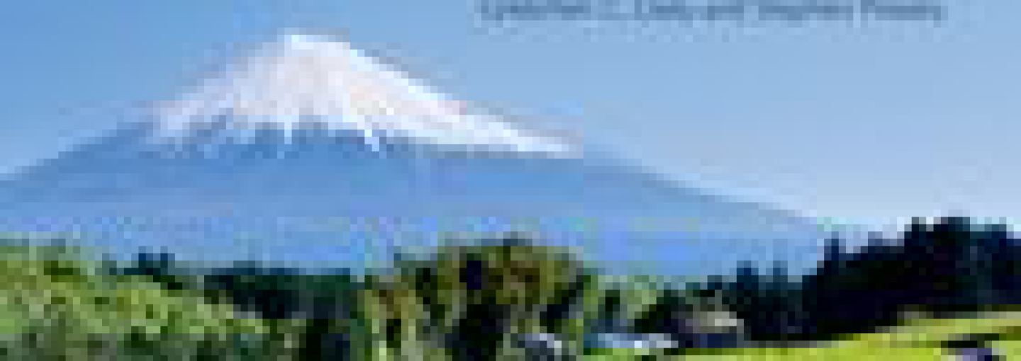 Image - Investing in Natural Capital