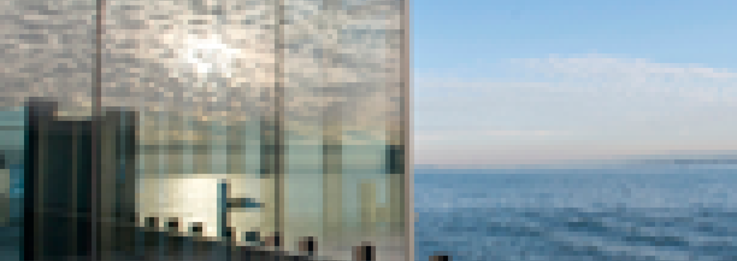 Image - Changing Shores: What the Bay’s Past Can Tell Us about Its Future