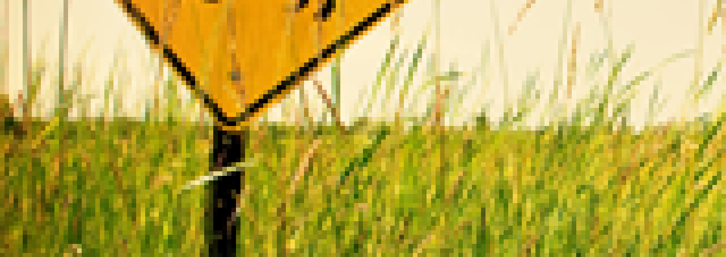Image - Grazing, Gas and Grass