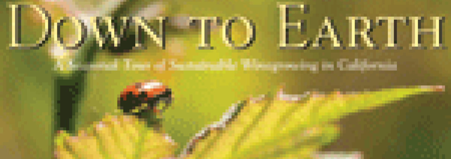 Image - A Toast to the 2014 Wine Harvest, Sustainable Practices and Pairings in