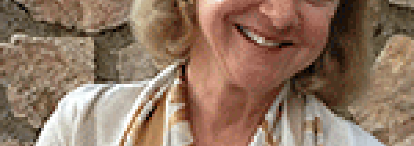 Image -  Mona Lisa: A Life Discovered