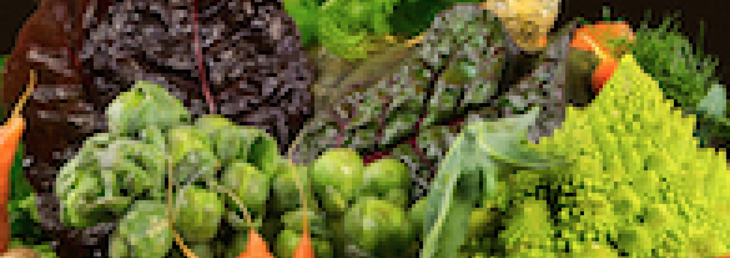 Image - Food, Health and Vulnerable Americans