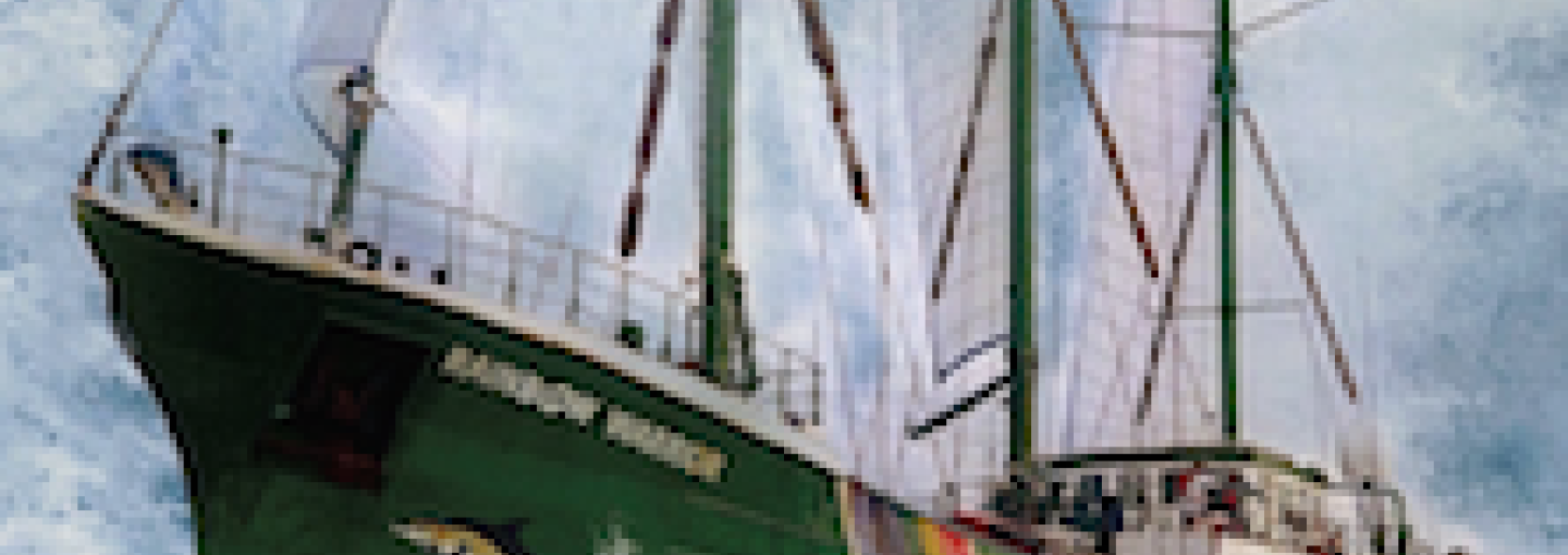 Image - Sea Heroes
