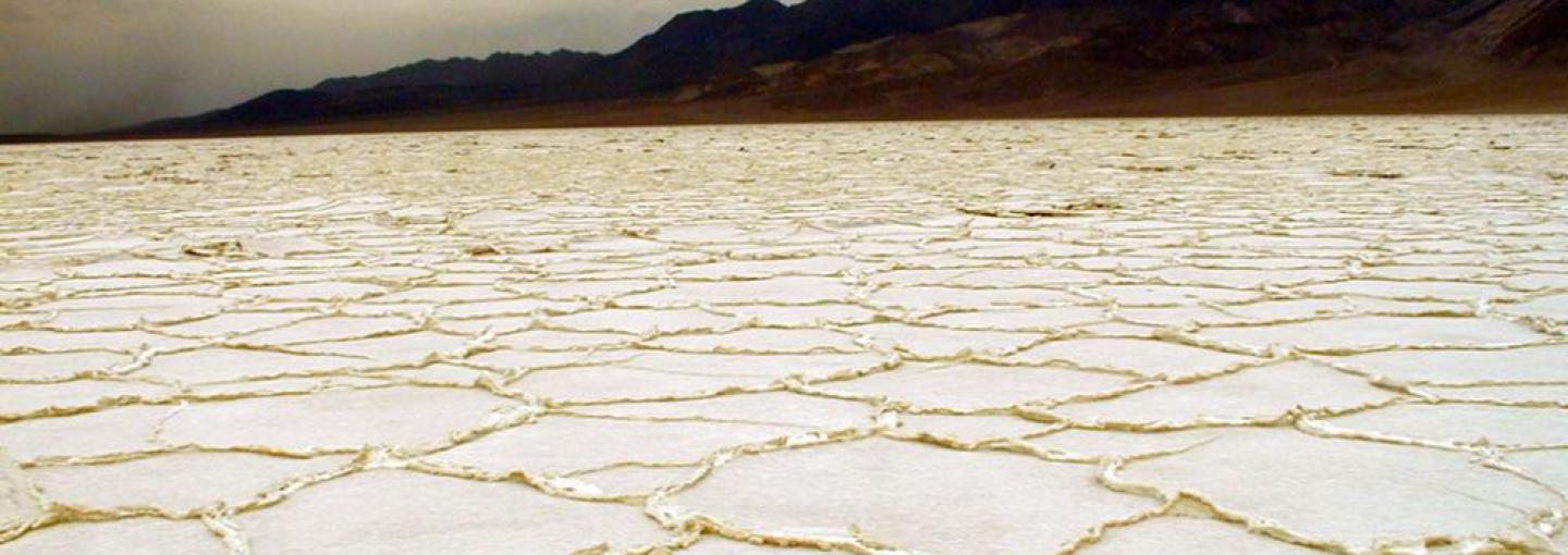 Salt Flats (by National Park Service)