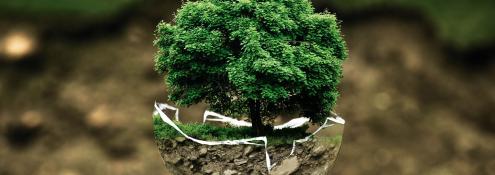 Image - Environmental Movement