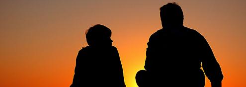 Image - New Birds and Bees