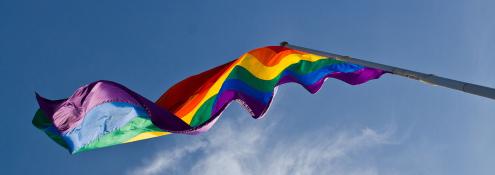 Image - Pride flag
