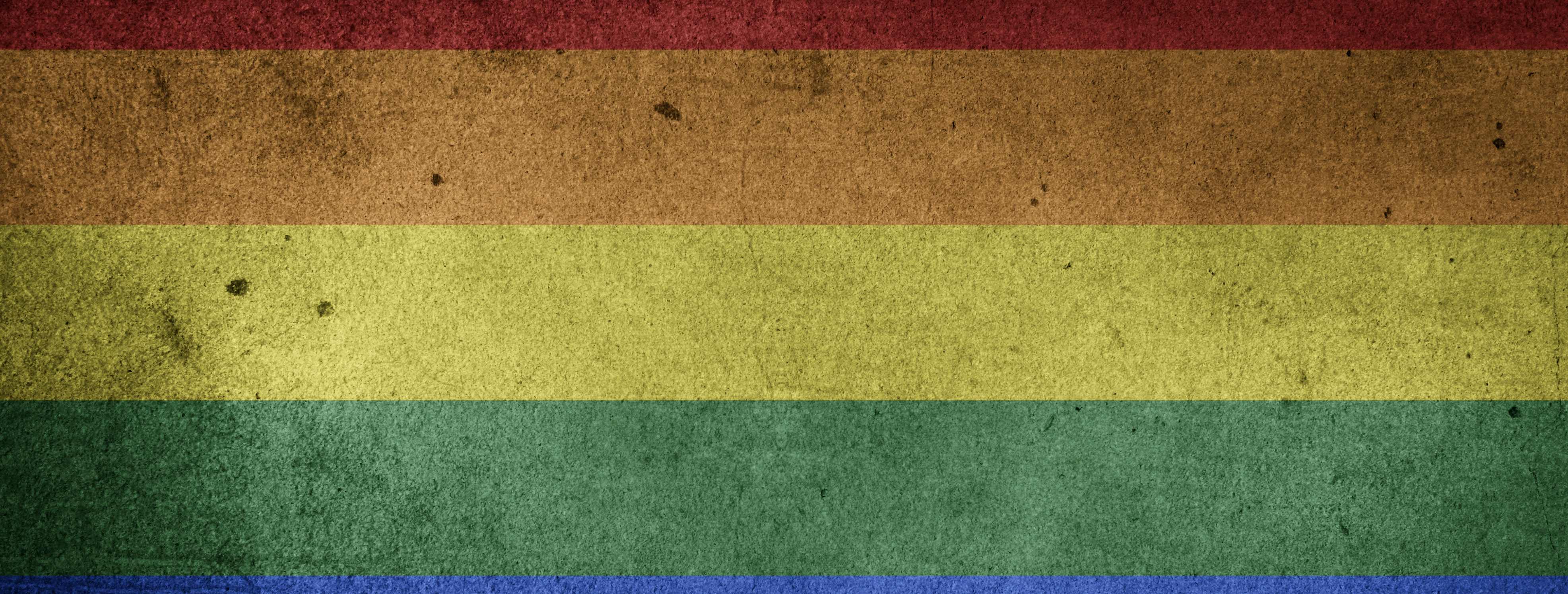 Image - rustic pride flag