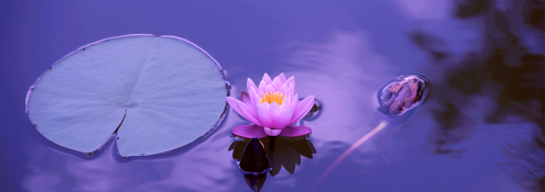 Image - Personal Growth Member-Led Forum