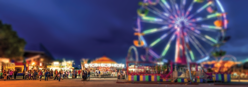 Image - Spring Into Summer