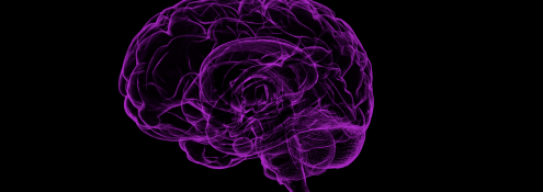 Image - human brain outline