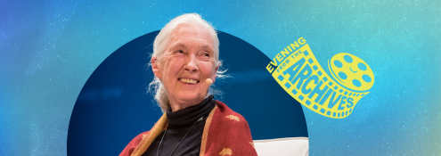 Image - Jane Goodall