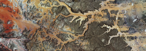 Image - detail from book cover