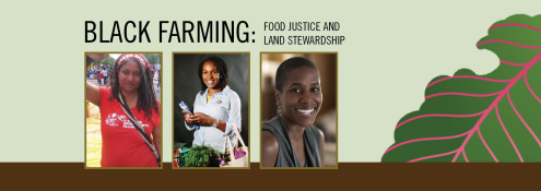 Image - illustration of leaf, photos of speakers, text of program title