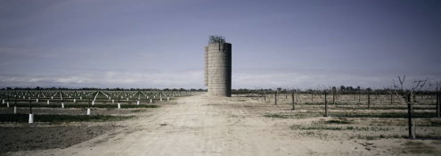 Image - detail from book cover, California Exposures; photography by Jesse Amble White