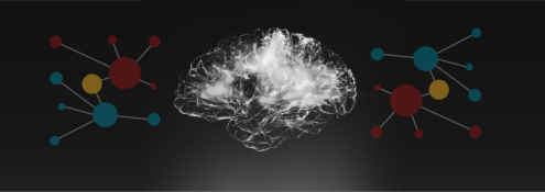 Image - illustration of brain