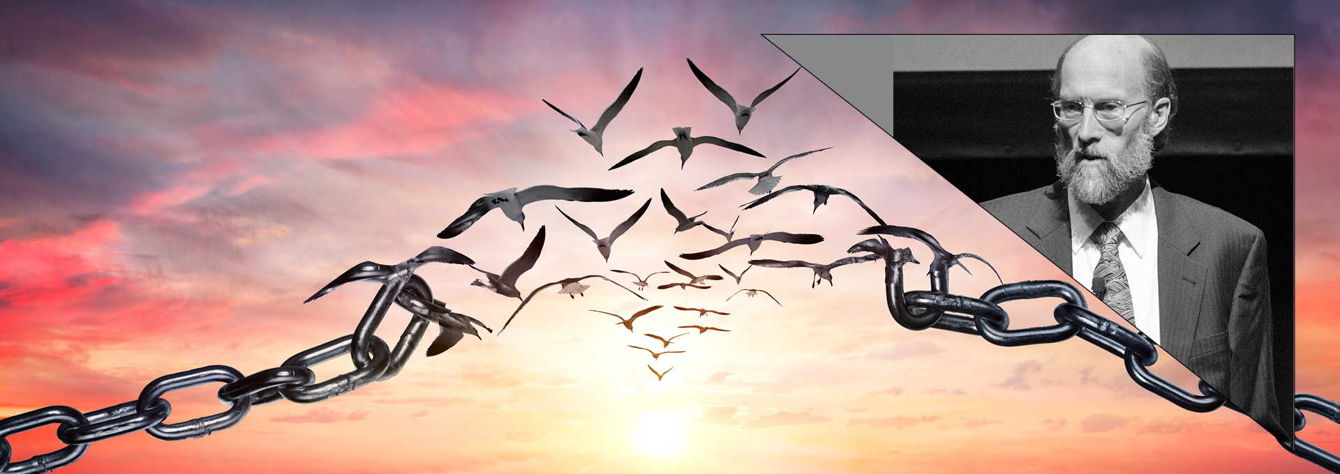 Image - chains, birds, the speaker