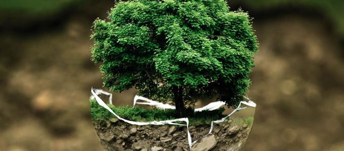 Image - Environmental Movement