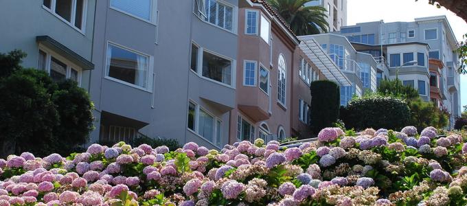 Image - Russian Hill