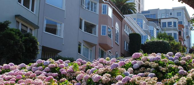 Image - Russian Hill Walking Tour
