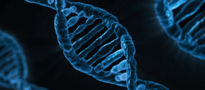 CRISPR Gene Editing Image - CRISPR Gene Editing