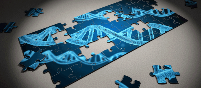 Change Your Genes, Change Your Life Image - Change Your Genes, Change Your Life
