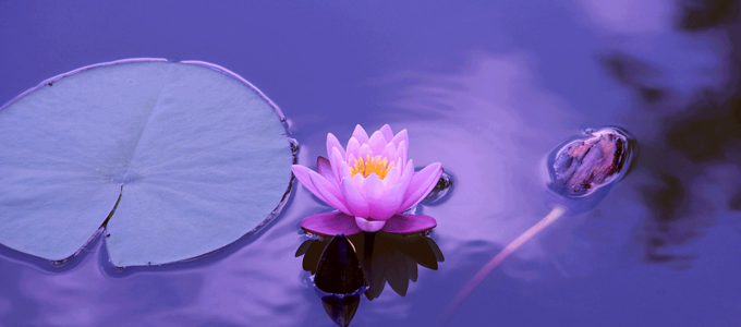 Image - Personal Growth Member-Led Forum