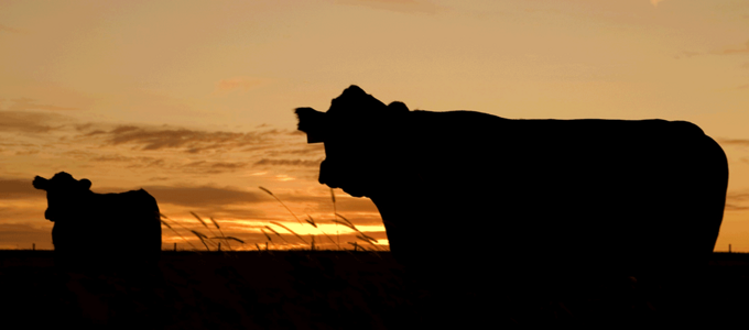 Driving Change in Food and Agriculture Image - Driving Change in Food and Agriculture