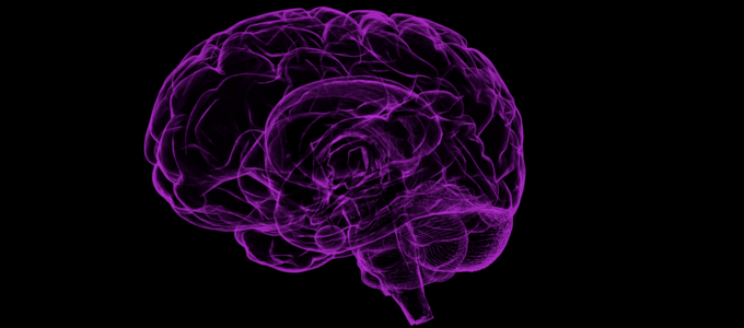 Memory Problems More Likely to Be Reported by the LGBTQ Community Image - human brain outline
